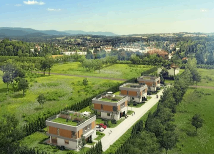 Zielona Polana